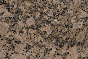 Giallo Fiorito Granite Slabs