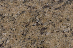 Giallo Veneziano Granite Slabs