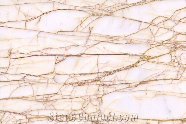 Gold Spider Marble Slabs