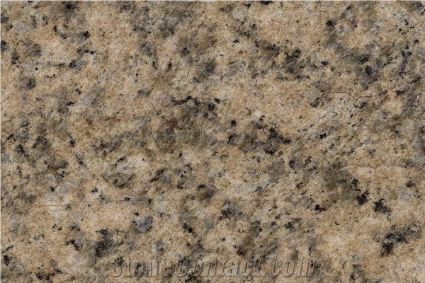 New Wiener Golden Hemp Granite Granite Slabs