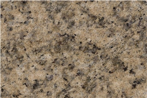New Wiener Golden Hemp Granite Granite Slabs