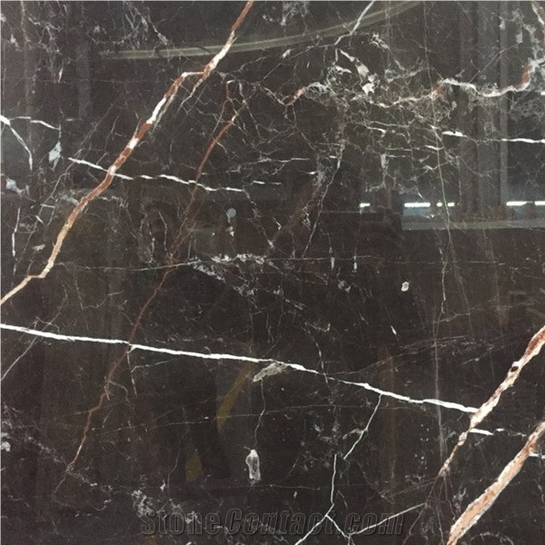 Noir St. Laurent Marble,Chinese St.Laurent Marble