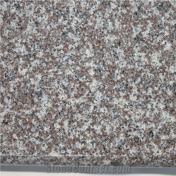 A Grade Violet Luoyuan Bainbrook Brown Original G664 Slabs in Stock
