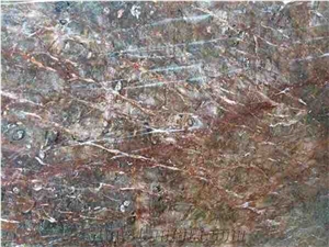 Autumn Marble Tiles & Slabs,