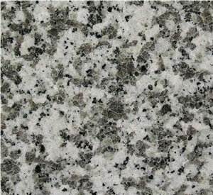 Big White Flower Granite Tiles Slabs Granite
