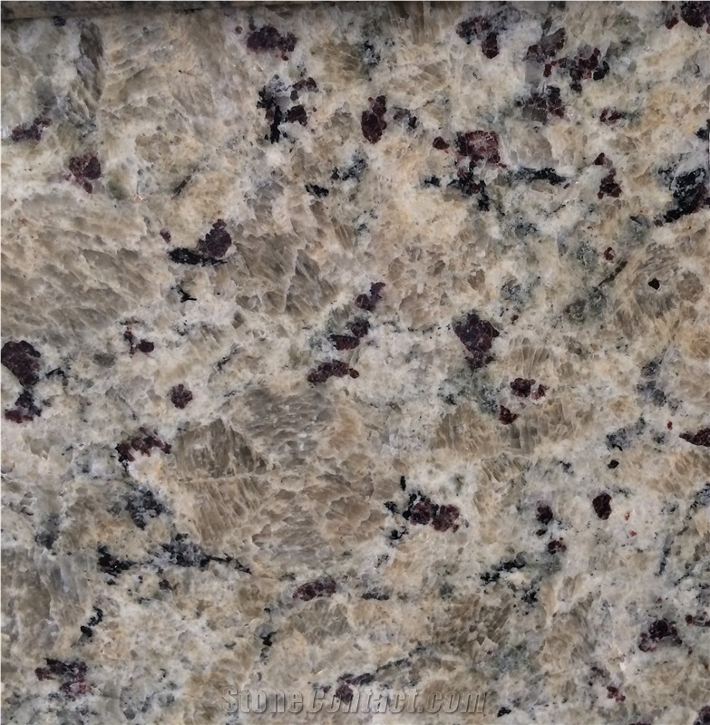 Brazil Imported Granite Butterfly Beige Slabs Tile