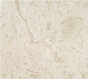 Data on Dino Marble Tiles Slabs Marble Skirting