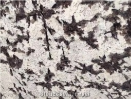 Frost Flower Granite Tiles Slabs Wall Covering