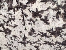 Frost Flower Granite Tiles Slabs Wall Covering