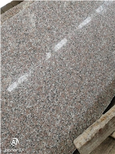 Rosa El Nasr Granite Slabs