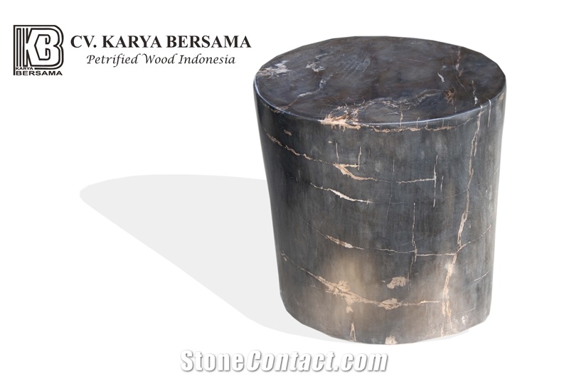Petrified Wood Stool Full Polished