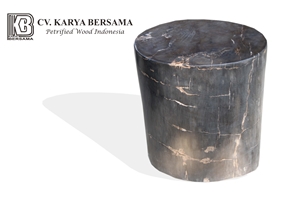 Petrified Wood Stool Full Polished