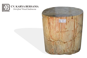 Petrified Wood Stool Full Polished