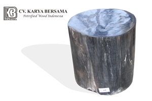 Petrified Wood Stool Full Polished