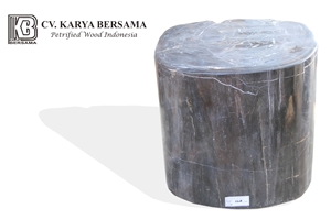 Petrified Wood Stool Full Polished