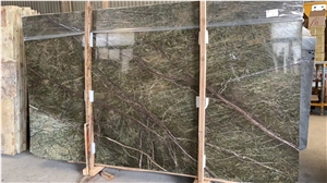 India Rainforest Bidasar Green Marble in China