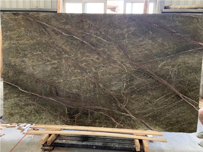 India Rainforest Bidasar Green Marble in China