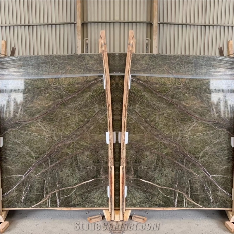 India Rainforest Bidasar Green Marble in China