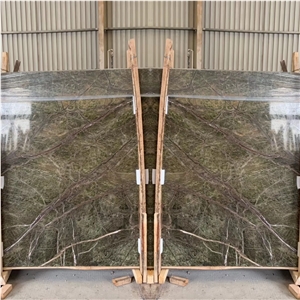 India Rainforest Bidasar Green Marble in China