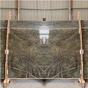 India Rainforest Bidasar Green Marble in China