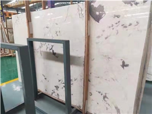 Italy Fior Di Pesco Apuano Marble Slab in China