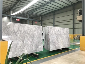 Silver Statuario Marble Armani Calacatta Grey Slab