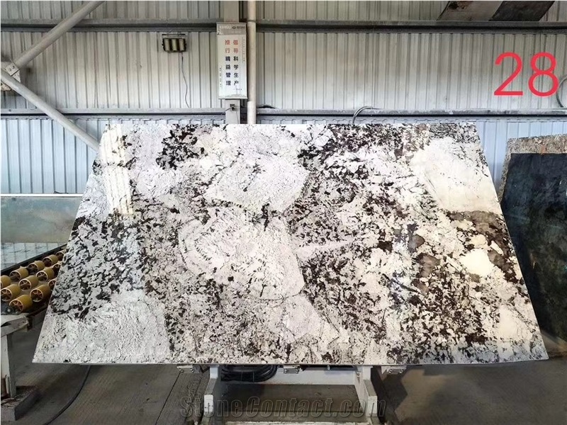 Splendour Gold Granite Slab Wall Tile in China