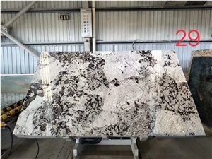 Splendour Gold Granite Slab Wall Tile in China
