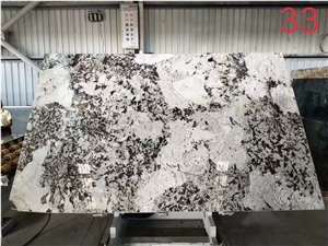 Splendour Gold Granite Slab Wall Tile in China