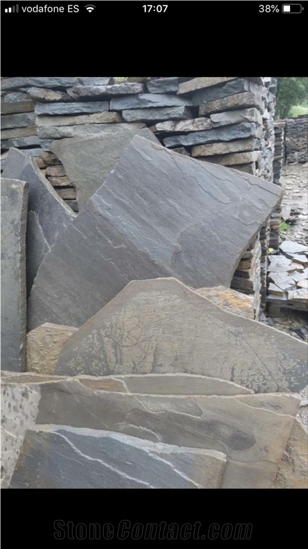 Grey Gneiss Flagstone