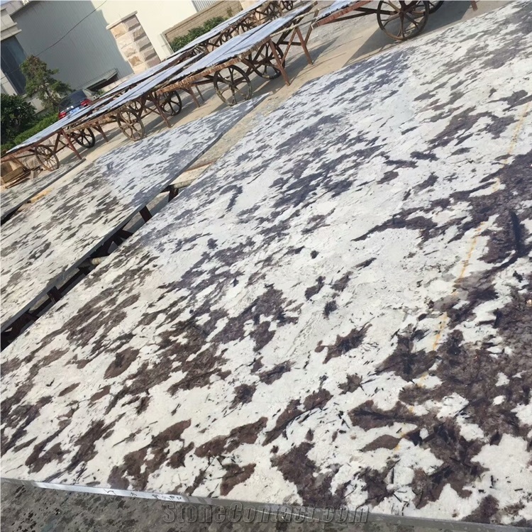 Delicatus Bianco White Granite Top Grade Granite