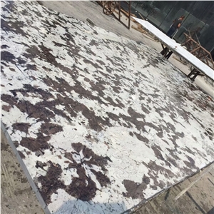 Delicatus Bianco White Granite Top Grade Granite