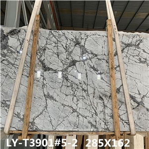 Invisible Grey Marble Natural Marble with Veins