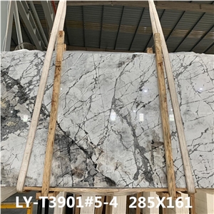 Invisible Grey Marble Natural Marble with Veins