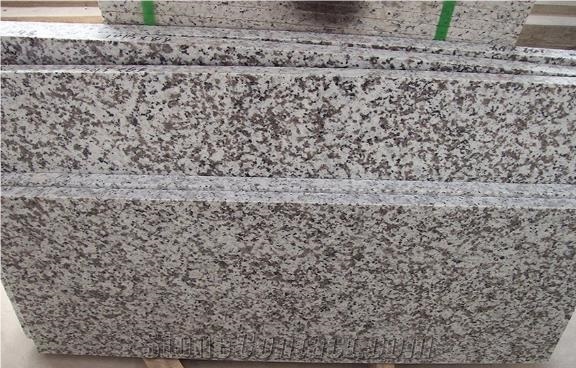 Flower Pattern G439 Granite Tiles for Kitchen