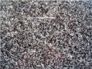 Chinese North Green Tiles&Wall Cladding&Slabs