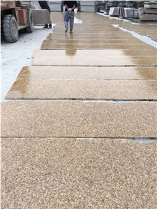 Haiti Diamond Gold Granite for Wall Application