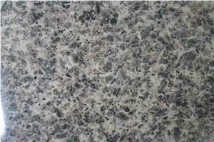 Leopard Skin Granite Tile, China Brown Granite