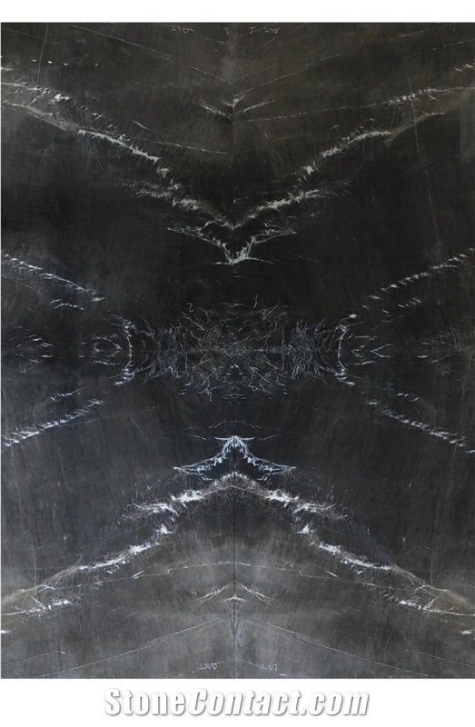 Dark Grey Turkey Emotion
