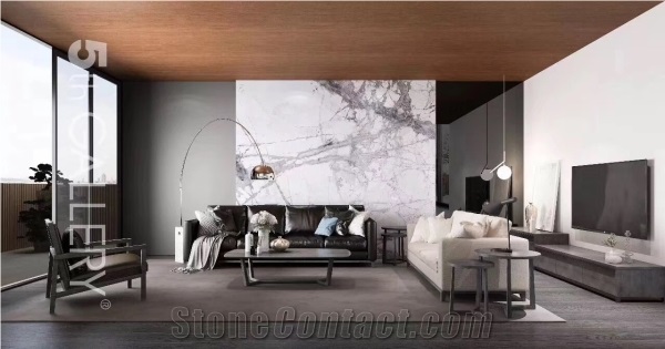 Iceberg Marble / Invisible White Marble