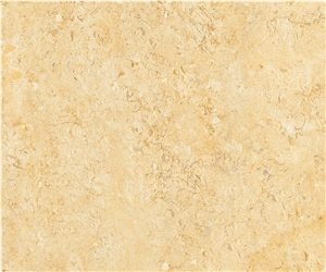 Seabed Limestone French Pattern