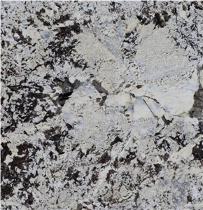 Vogue Branco Granite Slabs