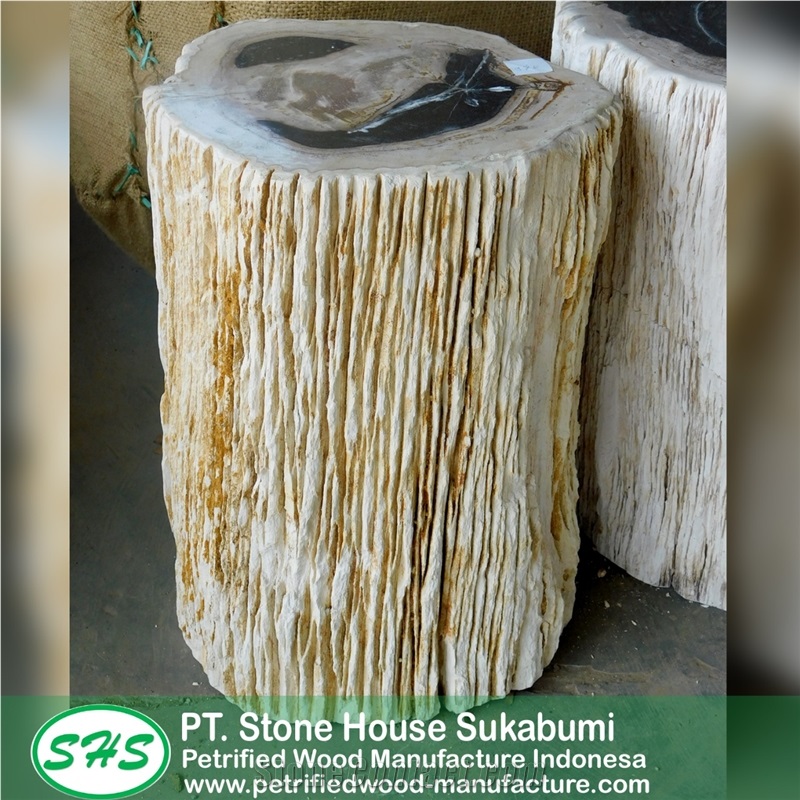 Petrified Wood Stool Top Polished