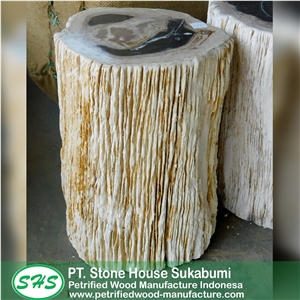 Petrified Wood Stool Top Polished
