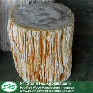 Petrified Wood Stool Top Polished