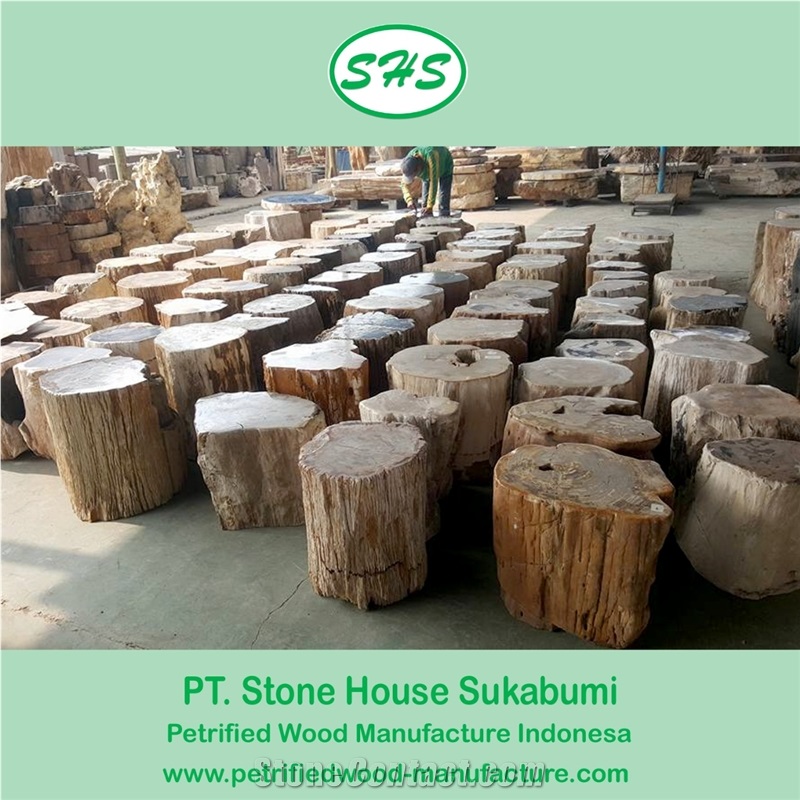 Petrified Wood Stool Top Polished