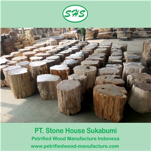 Petrified Wood Stool Top Polished