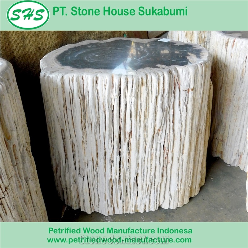 Petrified Wood Stool Top Polished