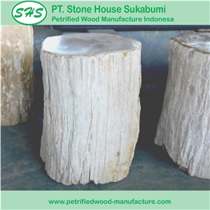 Petrified Wood Stool Top Polished