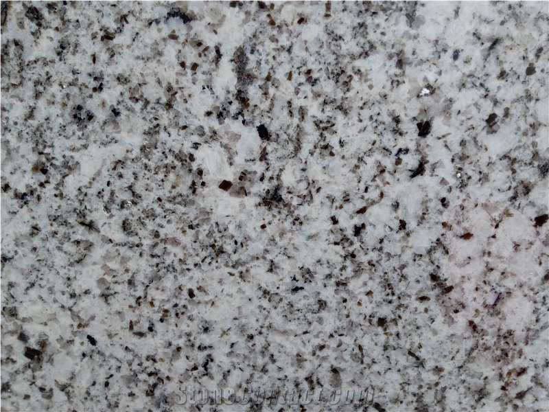 Oyster White S Granite Slabs, Tiles